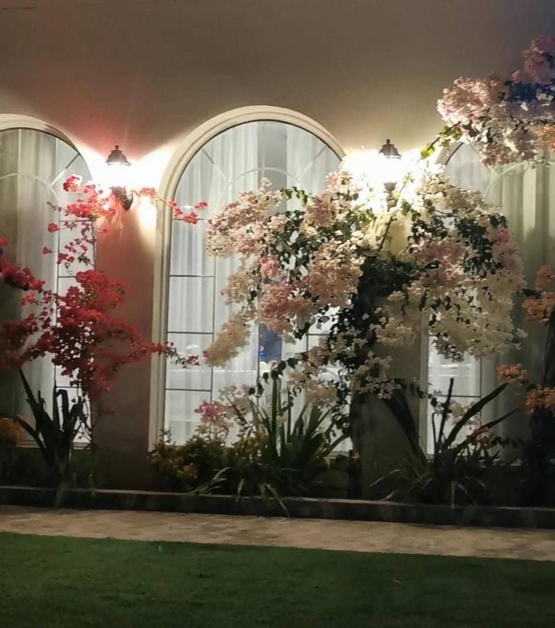 Vilă Luxury Farm In Musanaa Oman Al-Mussanah